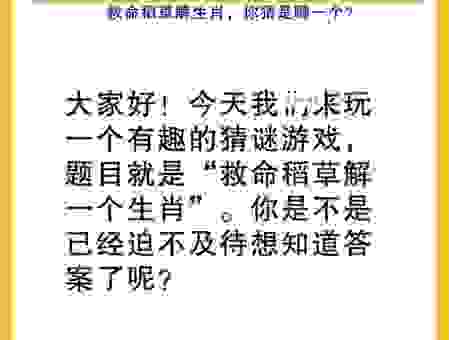不通水火打一生肖的解释，简单易懂的生肖谜题
