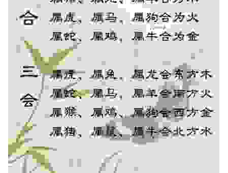 患难相扶指哪个生肖？这些生肖的感情最牢固