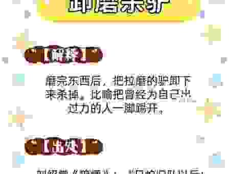 两耳不闻窗外事是什么生肖？答案可能让你意外！