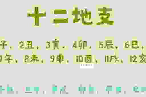 千日斫柴一日烧是什么生肖？解读这个神秘的生肖！