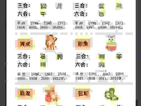 当头一棒猜生肖怎么玩？一招教你抓住属相的秘密！