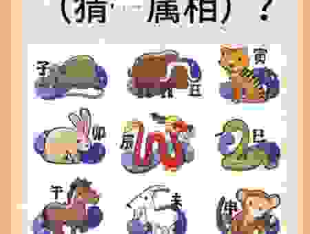 当头一棒猜生肖怎么玩？一招教你抓住属相的秘密！