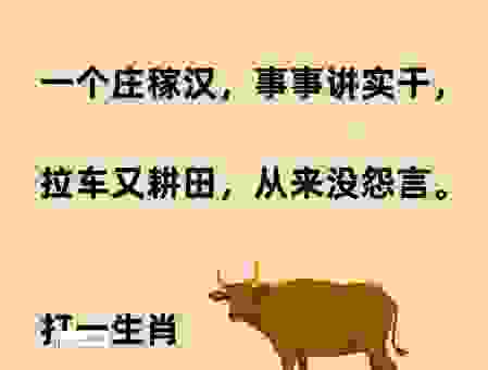 三一门前灯光照，哪个生肖藏在其中等你猜