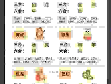 四十结伴九难寻打一准确生肖公布，你猜对了吗？