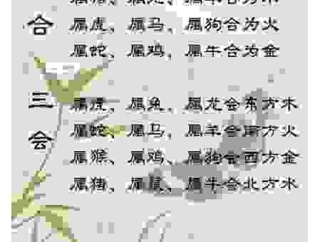 揭秘最容易遇到志同道合三大生肖的幸运儿！