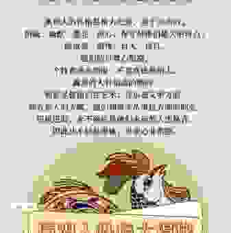 生肖运势到底准不准？四舍九入十成全的秘密揭秘