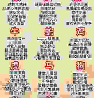 激流勇退的生肖是谁?了解这些生肖的特别之处