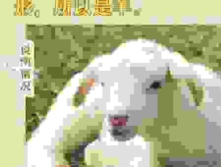 常挑一担愁三分是什么生肖？了解这些才能猜对！
