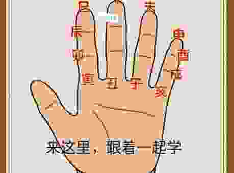 八合九并看一五最准确生肖怎么看？简单易懂的入门教程