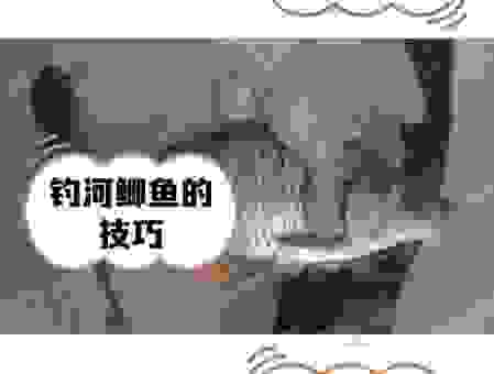 过江之鲫开过的生肖是哪个？这些说法你听过吗？