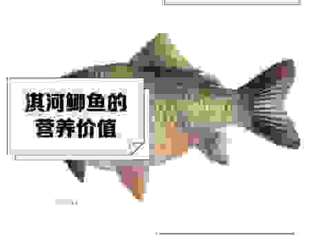 过江之鲫开过的生肖是哪个？这些说法你听过吗？
