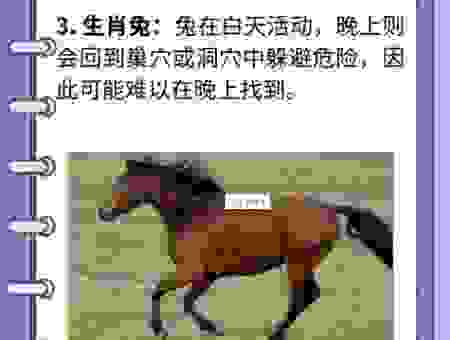 饮风餐露指的生肖是哪个？老黄历来告诉你。
