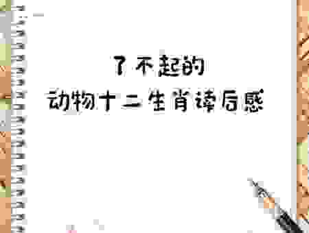 珠泪偷弹是什么生肖动物？看完这篇文章就清楚了。