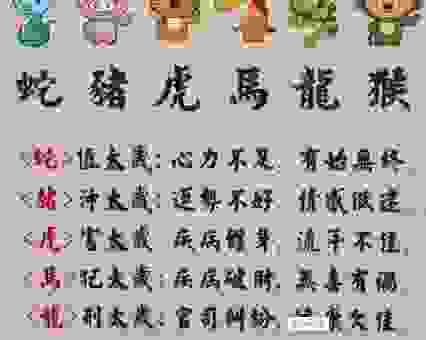 成语喧宾夺主打一准确生肖，你知道是哪个吗？
