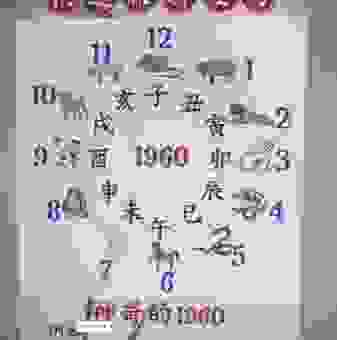一朝一夕打一正确生肖玩法介绍，简单易懂快速上手
