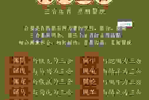 想知道恣行无忌是什么生肖吗?这里有答案!