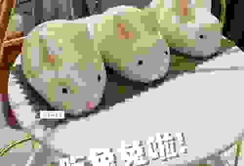 抱团取暖打一准确生肖，让你秒变生肖达人！