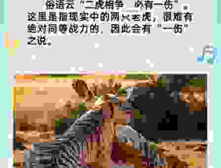 指东打西正确答案一肖分析，用这几点判断更靠谱