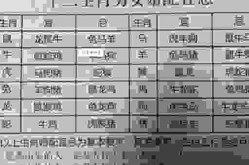 驽马十驾猜一正确生肖，猪年出生的人是这个生肖！
