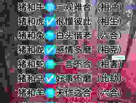 驽马十驾猜一正确生肖，猪年出生的人是这个生肖！