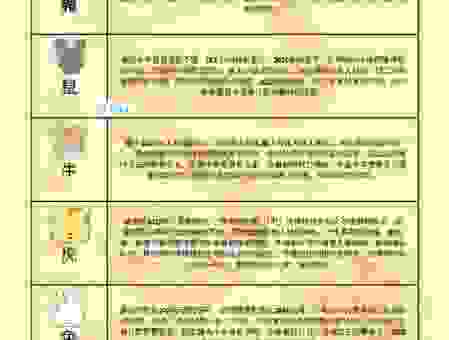 解读生肖的魅力，拥有明眸皓齿的生肖运势如何？