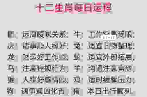 解读生肖的魅力，拥有明眸皓齿的生肖运势如何？