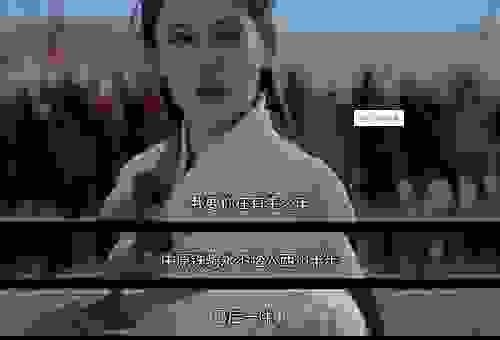 东宫贵妃在吵架打生肖，网友：太精彩了！