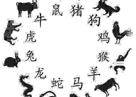 知道悲喜交集打一准确生肖是什么吗？让你一次猜中！
