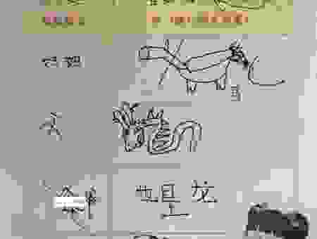 海桑陵谷猜一生肖，答案可能跟你想的不一样！