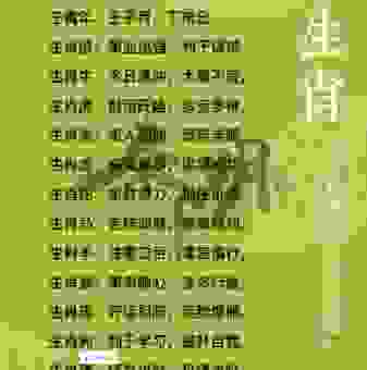 关于问道于盲打一准确生肖这个提示，听听专家怎么说！