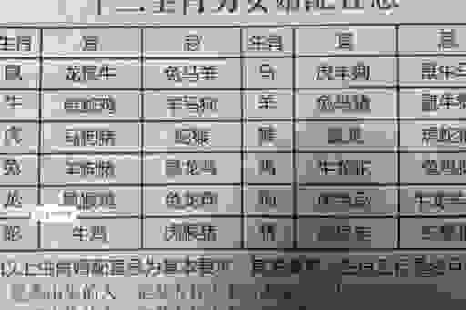 终南捷径打一正确生肖，这个生肖隐藏大秘密！