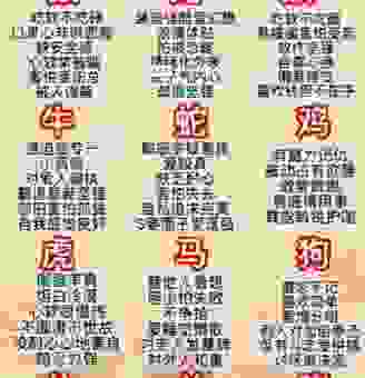 五里云雾对应什么生肖？揭秘这个生肖的性格特点！