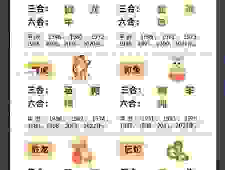 喧宾夺主最正确一肖是什么？了解这些让你不再迷茫