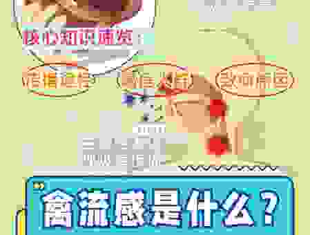 禽流感是否会人传人？世界卫生组织正在调查研究。