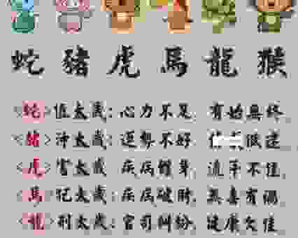 挑战你的智慧，挈泰山以超江河打一准确生肖是哪个？