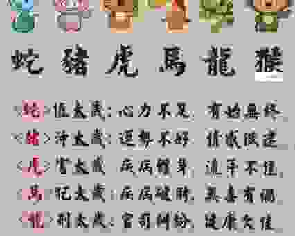 水过鸭背打一准确生肖是哪个?教你快速找到正确答案