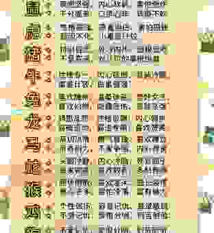云游四海是什么生肖？揭秘这些自由的生肖！