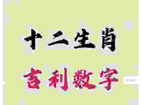 九是二八旧别情打一最佳生肖，你知道答案是什么吗？