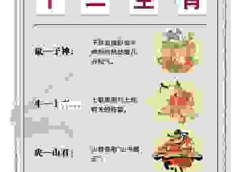 想知道神气活现是什么生肖？看完你就明白了！