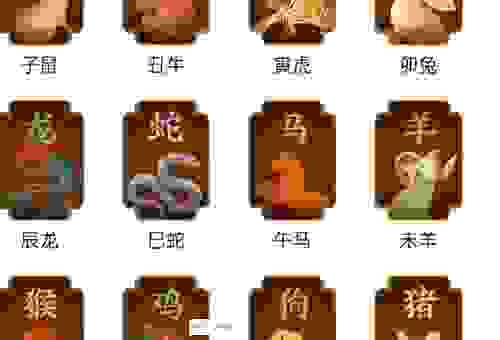 想知道神气活现是什么生肖？看完你就明白了！