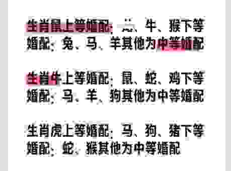 两情相悦是什么生肖？十二生肖配对的奥秘大公开！