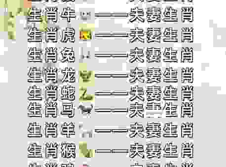 世风日下什么生肖？这三个生肖最容易遇到麻烦