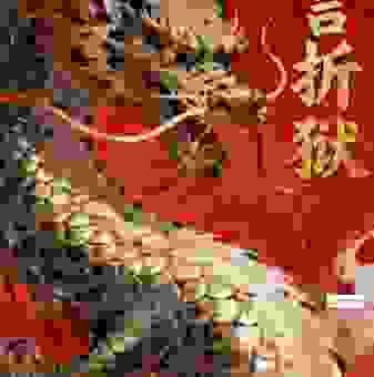 片言折狱最佳答案一肖，教你如何快速化解矛盾