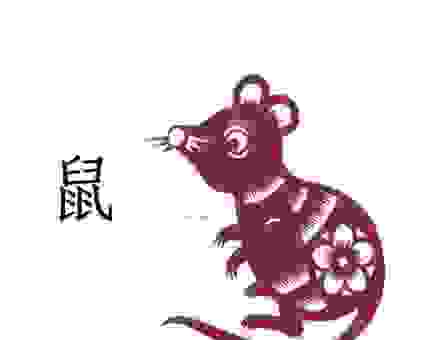 三蛇七鼠鸡除害是什么生肖？简单解释让你明白！