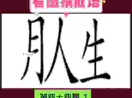 瞬息万变打一肖怎么猜？答案就在这里，让你秒懂！