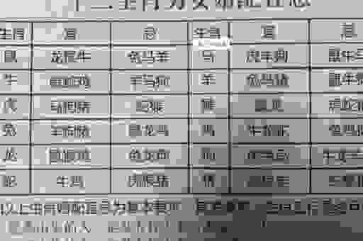 殊深轸念的生肖怎么找？从这几个细节看出来！