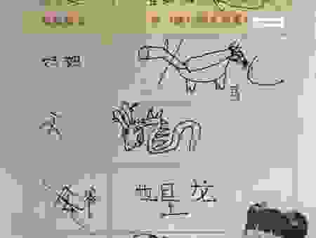 二一出场五追随猜一生肖，简单易懂让你轻松掌握！