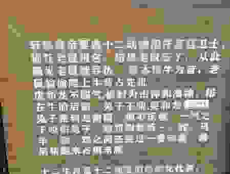 哪个生肖有口皆碑?这个生肖被大家一致看好!