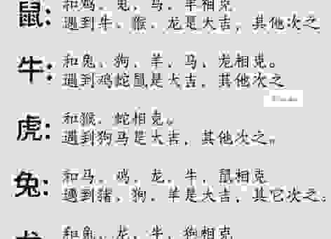 哪个生肖有口皆碑？这个生肖被大家一致看好！
