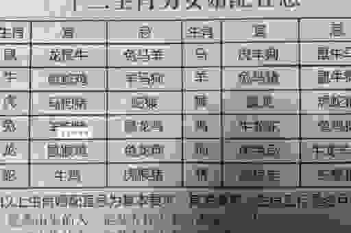 土金两行防水打一生肖,揭秘最贴合的那个生肖!